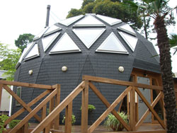 ダンゴ虫みたいなところが魅力です